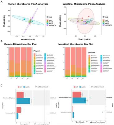 Mixed oats and alfalfa improved the antioxidant activity of mutton and the performance of goats by affecting intestinal microbiota